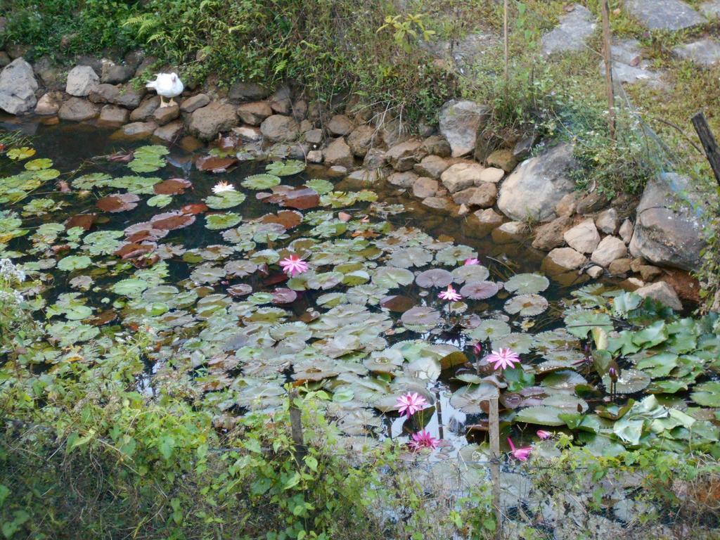 White Water Woods Resort Vithiri Kültér fotó